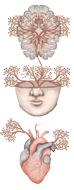 کلینیک طلوع